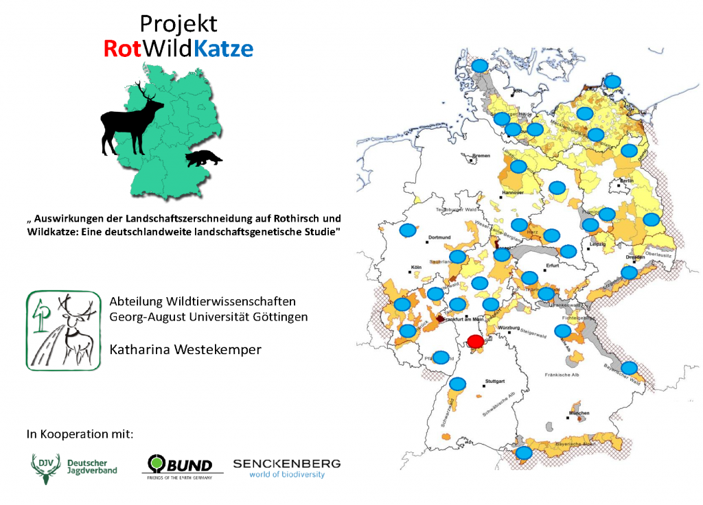 Projekt RotWildKatze_Westekemper_Probengebiete